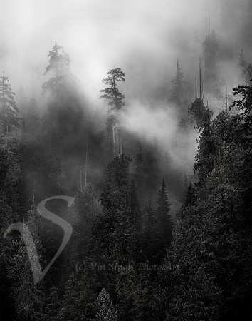 Olympic mist 002
