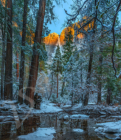 Snow Glow