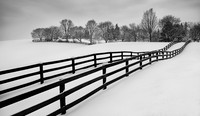 Fence and Snow