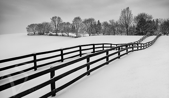 Fence and Snow