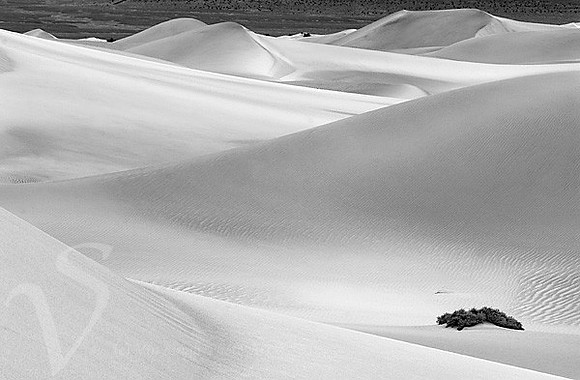 Death Valley dunes bw